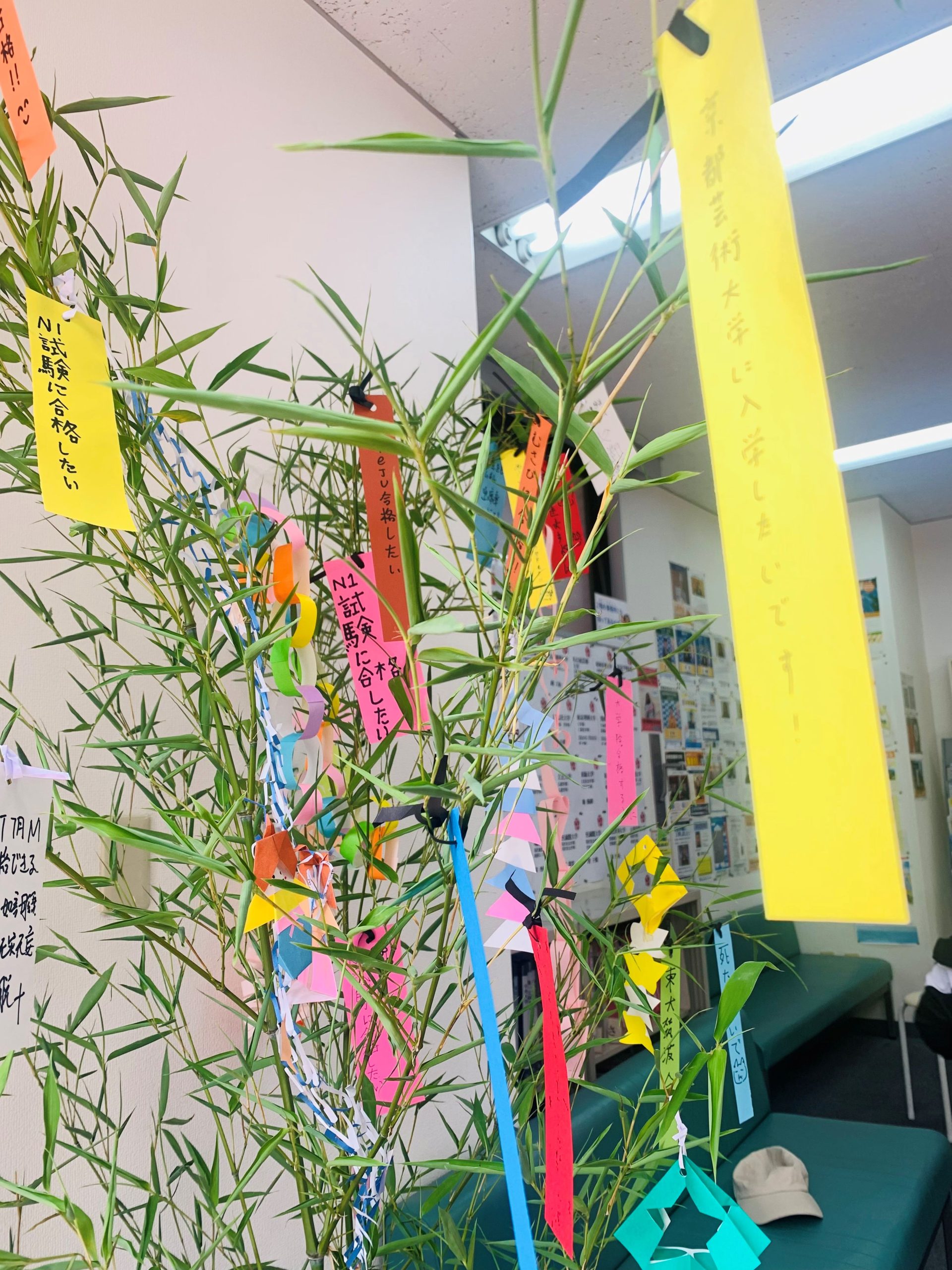 What is your wish for Tanabata?