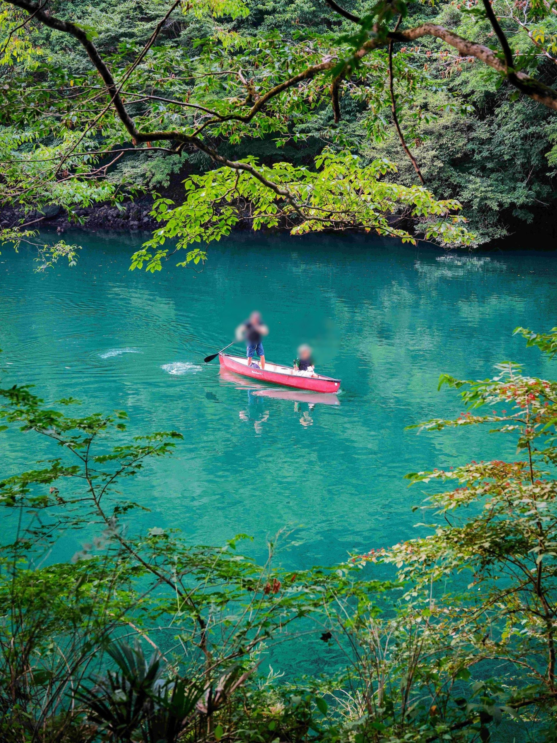Trip to Okutama